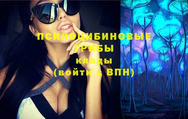 герыч Верхний Тагил