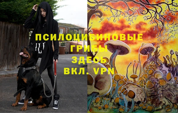 jwh Володарск